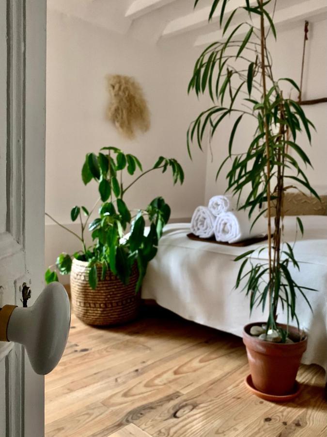 Abury, Tables Et Chambres , Randos Et Bien Etre A La Montagne Barcus Eksteriør billede